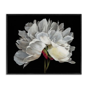 Stupell Industries Delicate White Flower Framed Giclee Art - 1 of 4