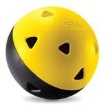 SKLZ Impact Softballs - Black/Yellow 8pk