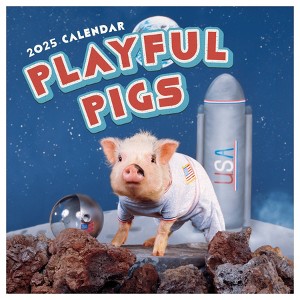 TF Publishing 2025 Wall Calendar 12"x12" Playful Pigs - 1 of 4