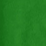kelly green