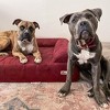 Big Barker 7" Orthopedic Dog Bed - Sofa Edition - 3 of 4