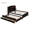 Twin/Full Size Wooden LED Platform Bed with Trundle, Storage Headboard and Drawers 4L - ModernLuxe - 4 of 4