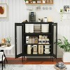 ORRD 3-Tier Metal Storage Cabinet with Mesh Doors, Multipurpose for Home Office/Living Room/Kitchen, Black-mesh, 40''H - 4 of 4
