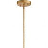 Crystorama Lighting Doral 1 - Light Pendant in  Renaissance Gold - 4 of 4