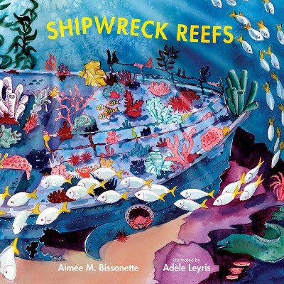 Shipwreck Reefs - (Imagine This!) by  Aimée M Bissonette (Hardcover)