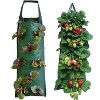 Multi-Port Grow Bags For Plant Strawberry Potato Hanging Planting Pots, Size: 10 Port - 3 of 4