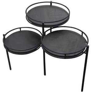 Moti Anaheim Indira Farmhouse Metal/Solid Wood Foldable Planter Stand in Black - 1 of 3
