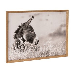 Storied Home Wood Framed Canvas Wall Décor with Donkey Photography, Multicolor - 1 of 4