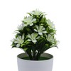 Unique Bargains Fake Plants Five-Leaf Cinquefoil Plant Plastic 3.15"x3.15"x7.87" 1 Pcs - 4 of 4