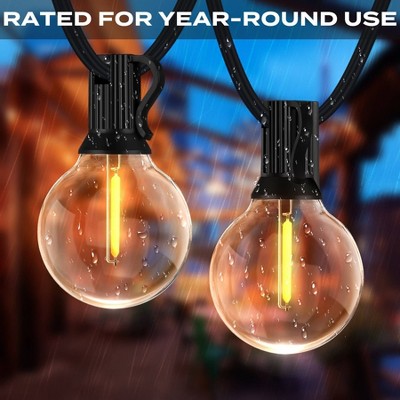 Warm White LED 24ft Globe String Lights with Black Wire