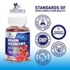 Brain Supplement Gummies for Memory Focus, Support Brain Clarity Health, B6, B12, Phosphatidylserine & Nootropics - 60 Gummies By Nature's Nutrition - 4 of 4