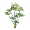 Caladium Bush Set Of 6 Plastic And Polyester Design With 18.5 Inch Height For Indoor Decor By Melrose - 2 of 3