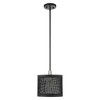 Livex Lighting Industro 1 - Light Pendant in  Black/Brushed Nickel - 3 of 4