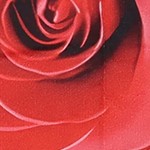 black, red