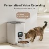 Automatic Cat Feeder with Voice Recorder, Timed Food Dispenser for 4 Meals Daily, Portion Control - 4 of 4