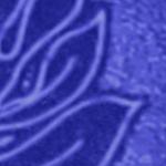 monstera leaf parrot royal blue