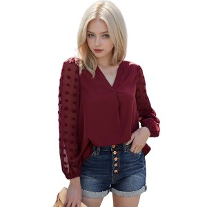 Anna-Kaci Women's Chiffon Blouse Swiss Dot Top - 1 of 4