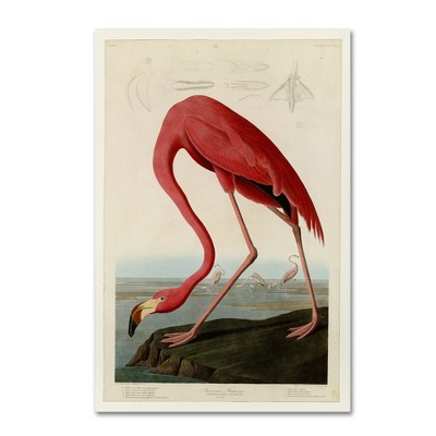 Large Pink Flamingo Canvas Art Print