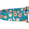 Country Brook Petz Peaches Martingale Dog Collar (5/8 Inch, Small) - 4 of 4
