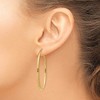 Black Bow Jewelry 2mm x 48mm Polished 14k Yellow Gold Classic Oval Hoop Earrings - 3 of 4