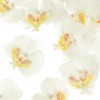 Unique Bargains Silk Plastic Durable Handcrafted Artificial Orchid Flower Heads 20 Pcs - 2 of 4