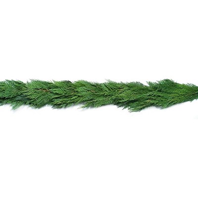 20' Live Fresh Cut Cedar Garland - National Plant Network
