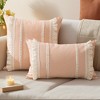 REGALWOVEN Boho Modern Striped Decorative Throw Pillow Cover for Living Room Bed Sofa 2 Pcs - 2 of 4