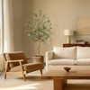 Olive Trees Artificial Indoor, 5FT Tall Olive Tree Plants, Faux Olive Tree with Realistic Trunk, Leaves, Fruits for Home Office Decor - 3 of 4