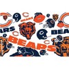 NFL Chicago Bears 16oz All Over Classic Tumbler - 2 of 4