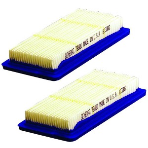 Briggs and Stratton 2 Pack Air Filter - 78601GS-2PK - 1 of 1