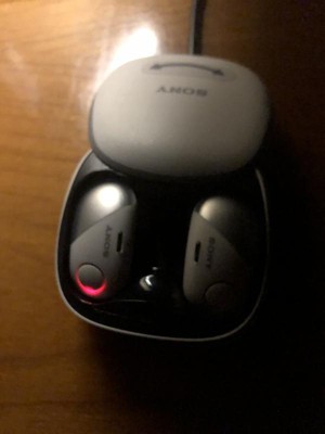 Sony : True Wireless Earbuds : Target