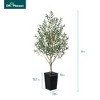 DR.Planzen 72" Artificial Olive Tree - 6FT UV Resistant Fake Plant with 15.7" Tall Planter Planter for Indoor House Plants & Tall Floor Decor - 3 of 4