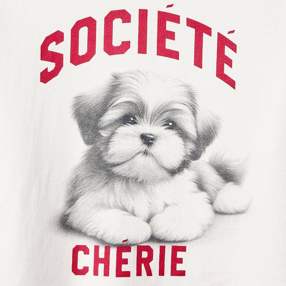 Girls' Short Sleeve 100% Cotton 'Dog' Oversized Graphic T-Shirt - Cat & Jack™ Cream - thumbnail 3