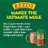 Reed's Extra Ginger Beer - Crafted with Fresh Ginger Root - 12oz Cans,-24 Pack - 4 of 4