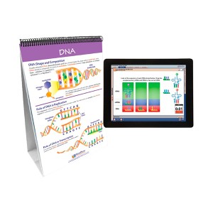 NewPath Learning Chromosomes, Genes & DNA Flip Chart and Online Multimedia Lesson - 1 of 1