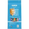 IAMS Weight and Appetite Management Chicken Flavor Dry Cat Food - 7lbs - 2 of 4