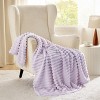 Bedsure | Indulge in Comfort Bed Blanket with Unique Chunky Corduroy Texture - 2 of 4