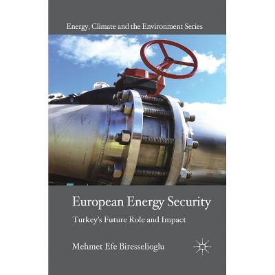 European Energy Security - (Energy, Climate and the Environment) by  M Biresselioglu (Paperback)