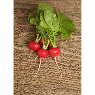Fresh Organic Red Radishes - 12oz