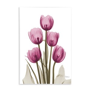 Stupell Industries Pink X-Ray Tulips, 13" x 19" - 1 of 4