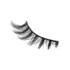 Unique Bargains Makeup False Eyelashes for Women 10 Pair - 4 of 4