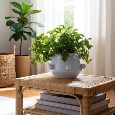 Modern Ceramic Planter with Textured Bubble Design, Ceramic Indoor & Outdoor Decorative Pot for Home & Garden