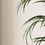 black + retro colors