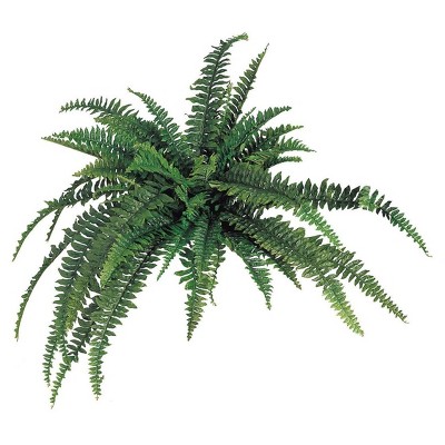 Floral Home 48" Wide Boston Fern with 48 Lifelike Fronds - 6-Piece