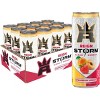 Reign Storm, Strawberry Apricot, Fitness & Wellness Energy Drink - 12 Fl Oz (Pack of 12) - 2 of 4