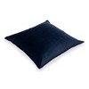 Brentwood Velvet Toss Pillow - 2 of 3