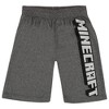 Minecraft Little Boys T-Shirt, Tank Top and Shorts 3-Piece Outfit Set - 4 of 4