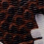 black and gold football fan