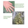 Green - 1x0.7m Bird Netting For Garden Protection,1Pcs Garden Netting Pest Barrier With Drawstring,Mosquito Net Tomato Protective Cover Garden Plant - 4 of 4