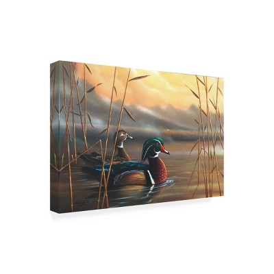 Geno Peoples 30x47 Outdoor Canvas Art with Wood Ducks